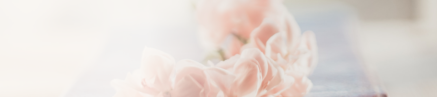 Närbild av mjuka rosa blommor i dämpat ljus.